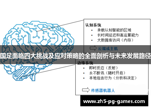 国足面临四大挑战及应对策略的全面剖析与未来发展路径