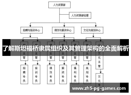 了解斯坦福桥隶属组织及其管理架构的全面解析